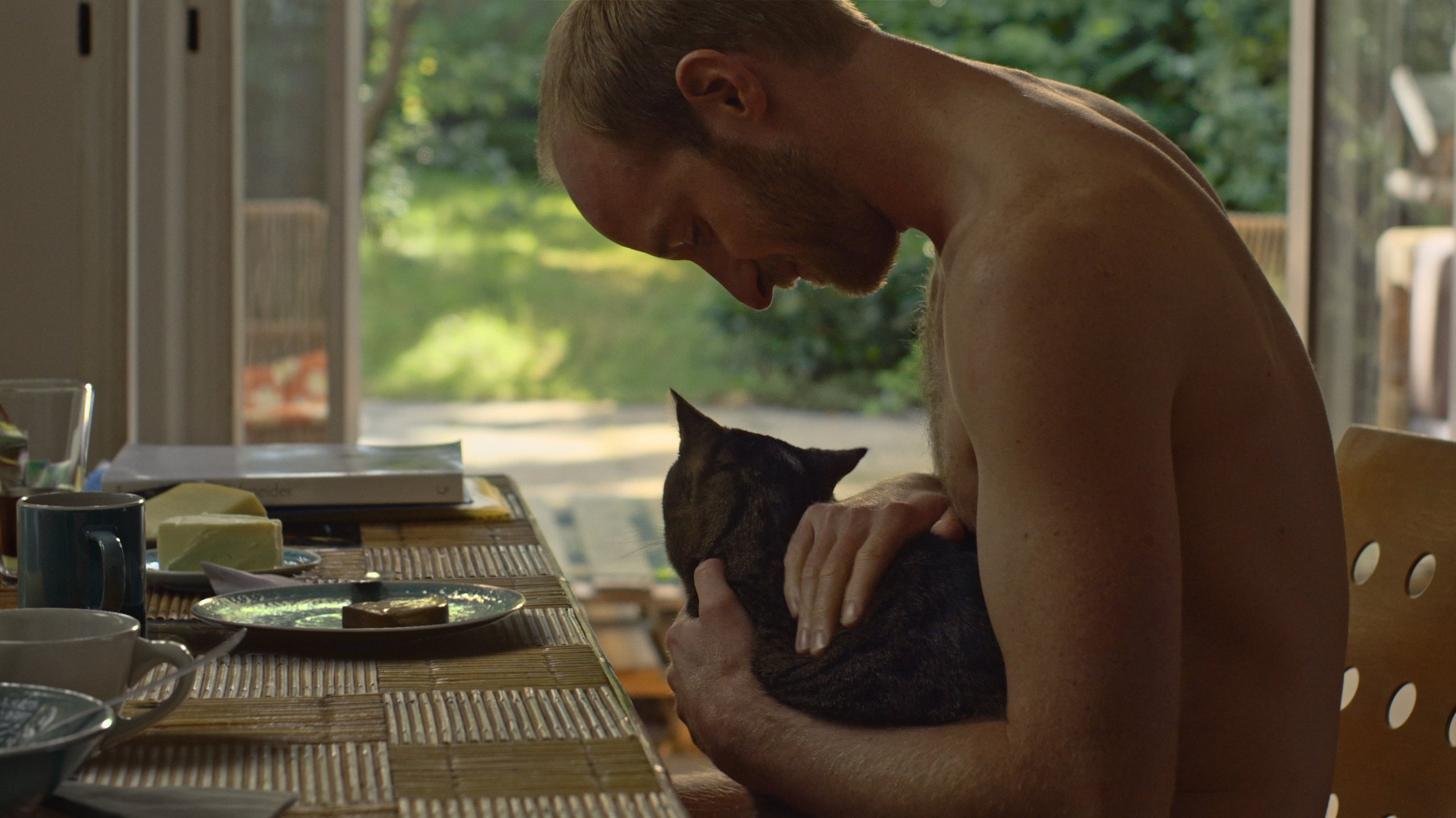 Kater|Kater
