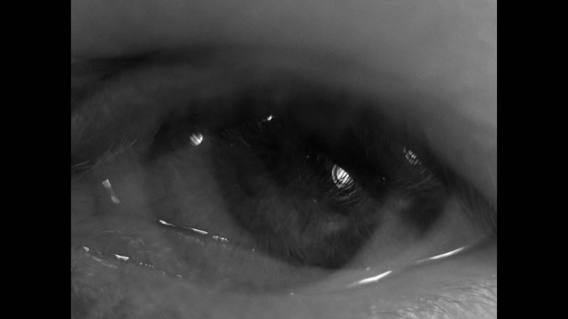 Ingmar Bergman's eye|Ingmar Bergman's eye
