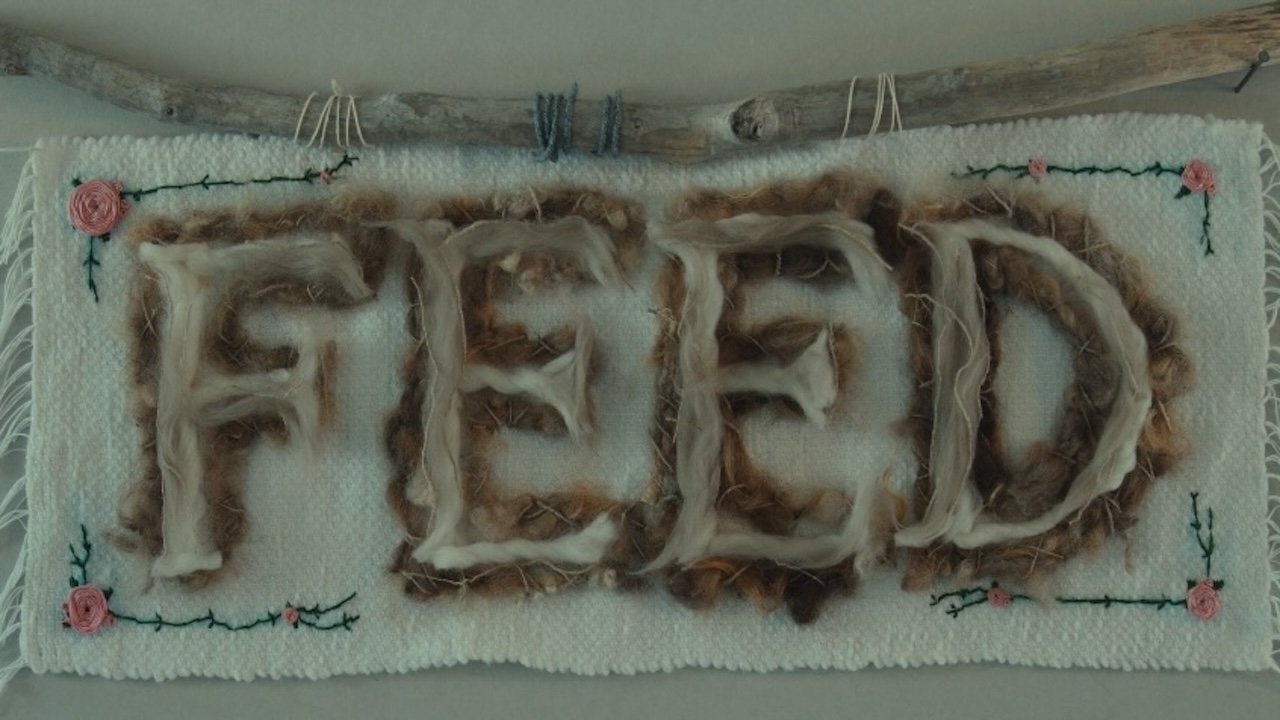 Feed|Feed