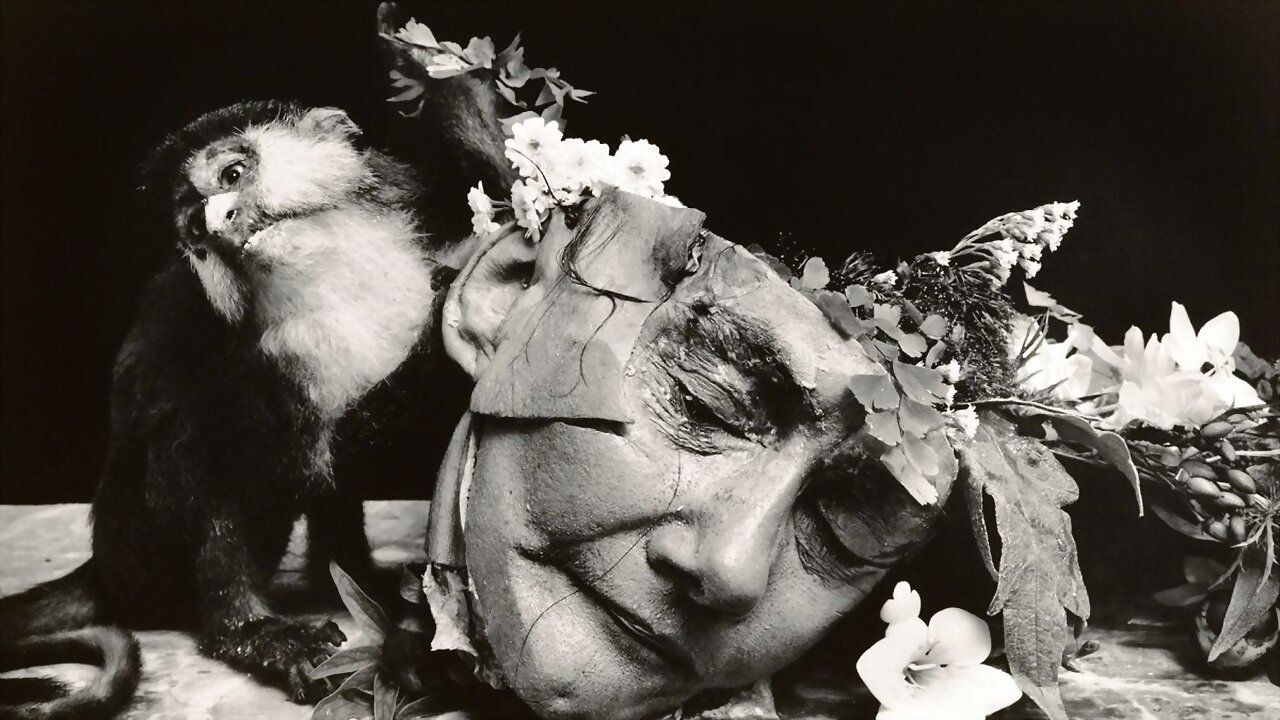 Witkin & Witkin|Witkin & Witkin