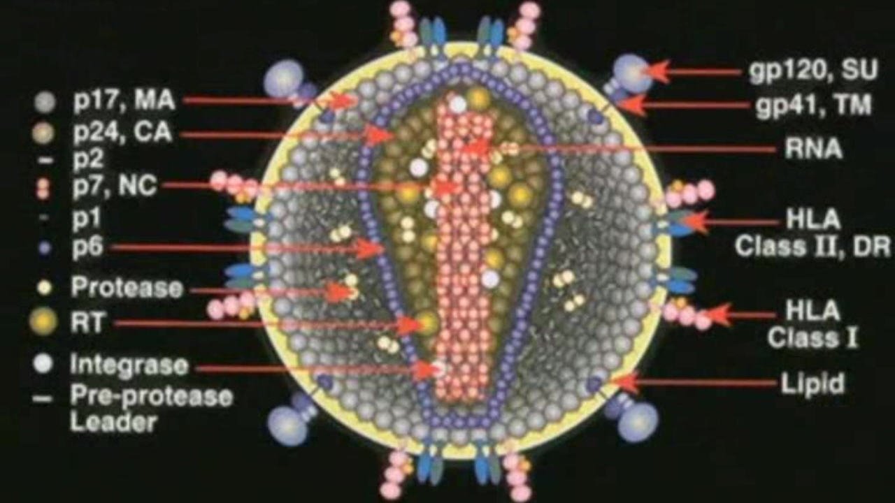 Deconstructing the Myth of Aids|Deconstructing the Myth of Aids