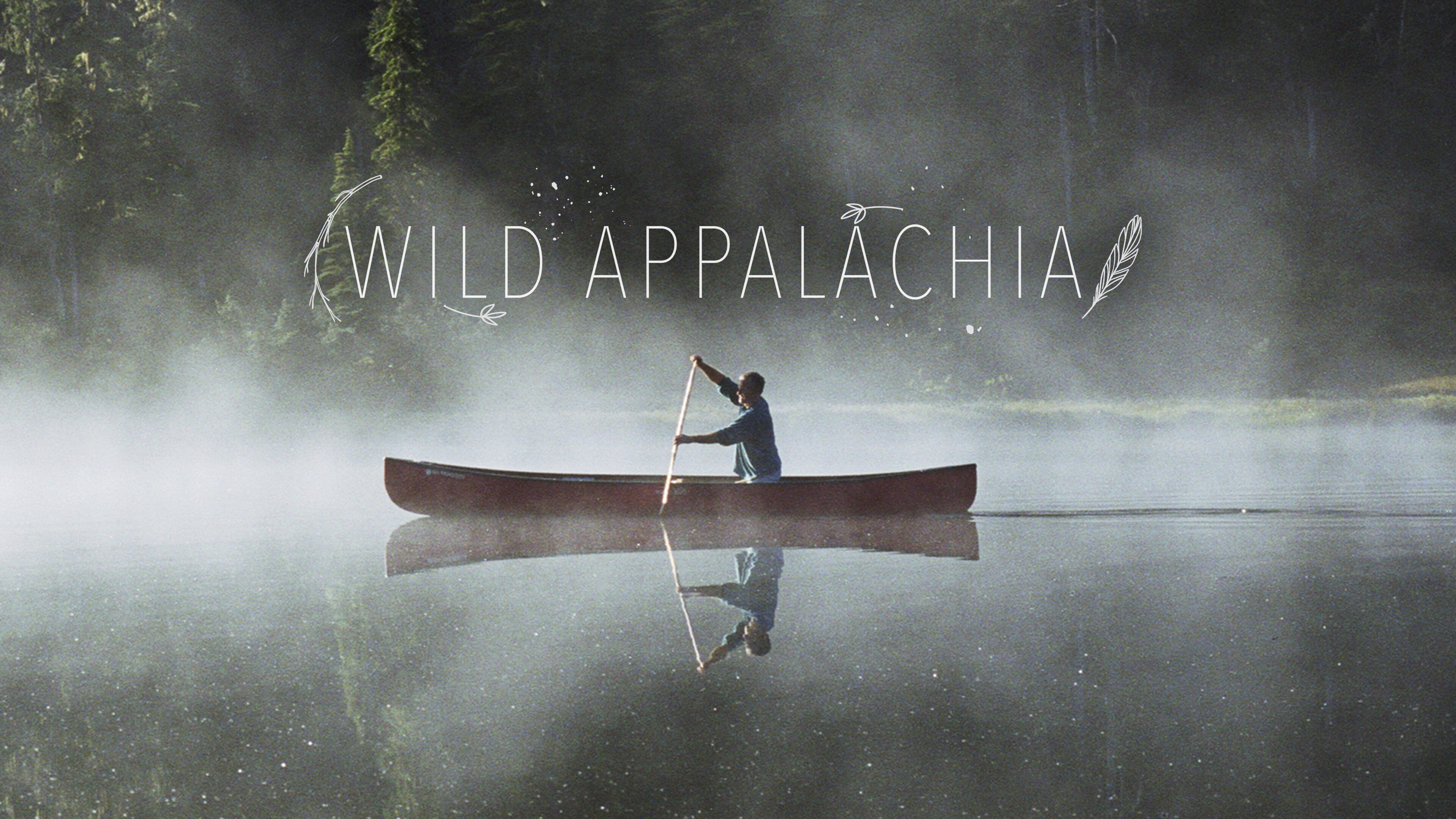 Wild Appalachia|Wild Appalachia
