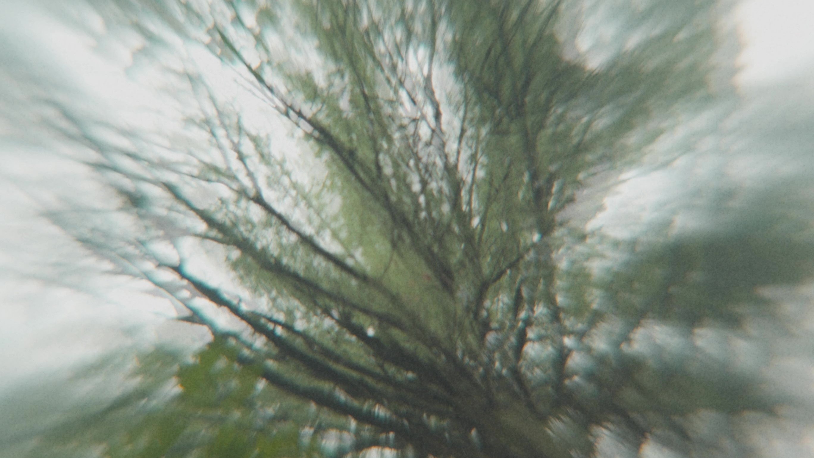 تصویر 2