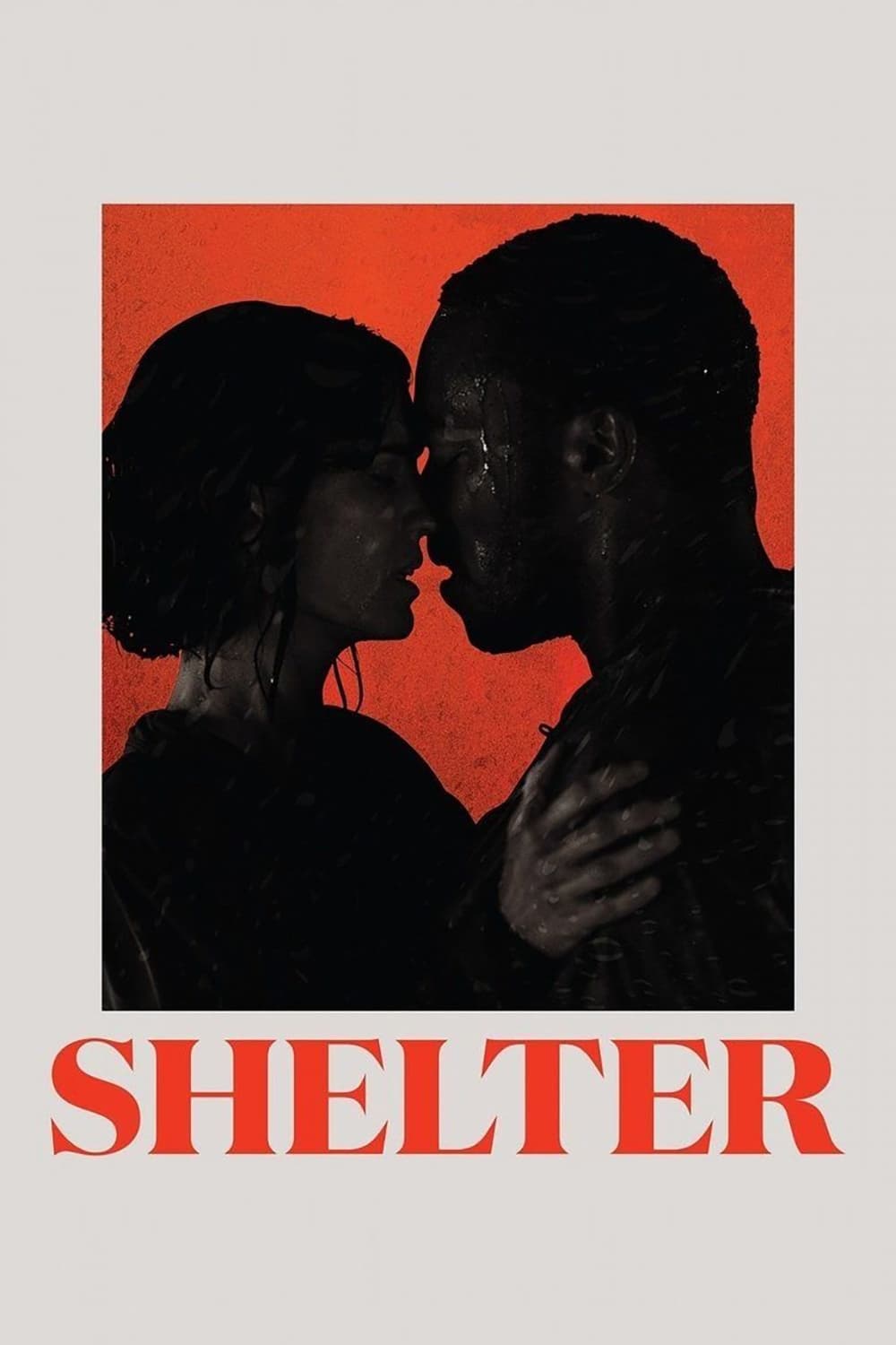 Shelter | Shelter