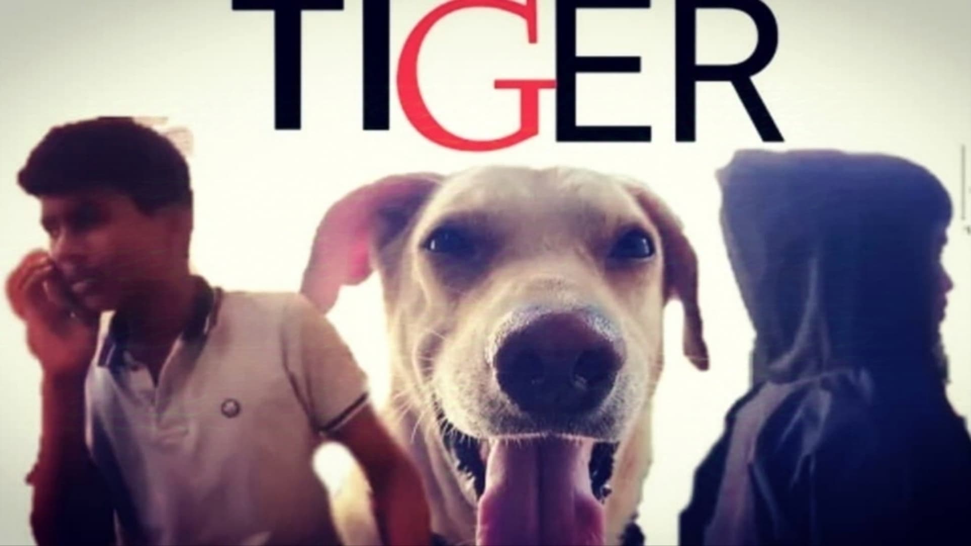 TIGER|TIGER