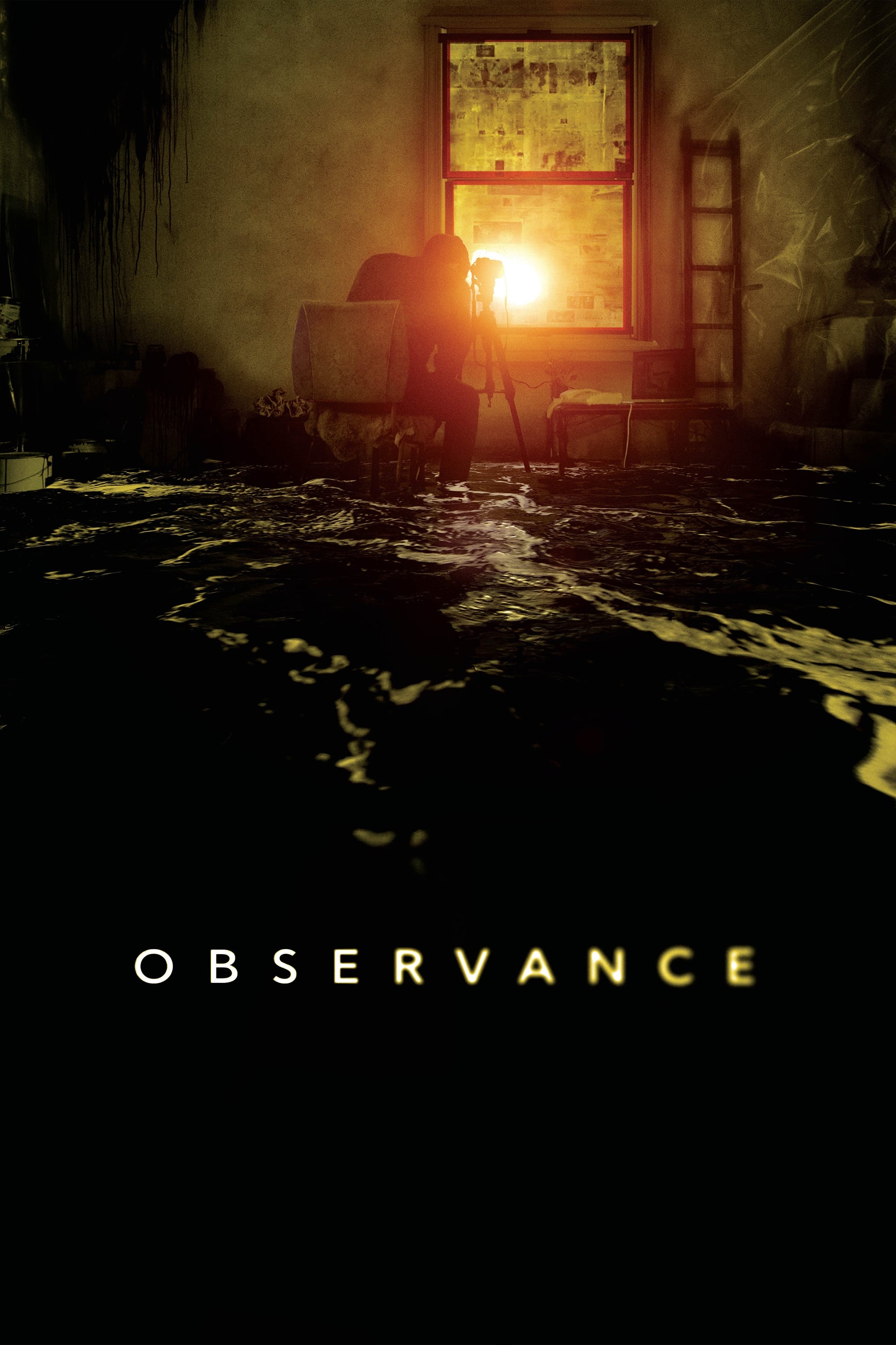 Observance | Observance