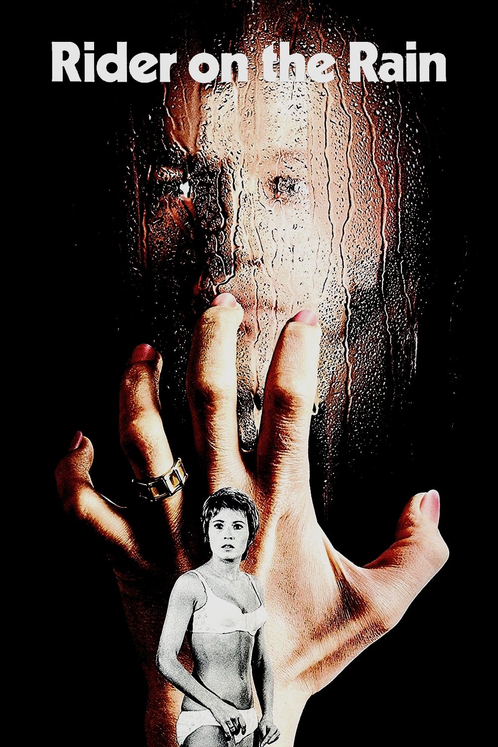Le Passager de la pluie