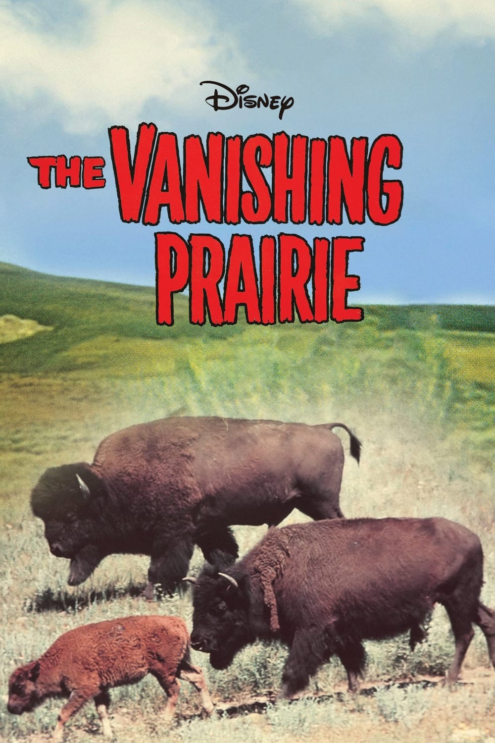 The Vanishing Prairie | The Vanishing Prairie