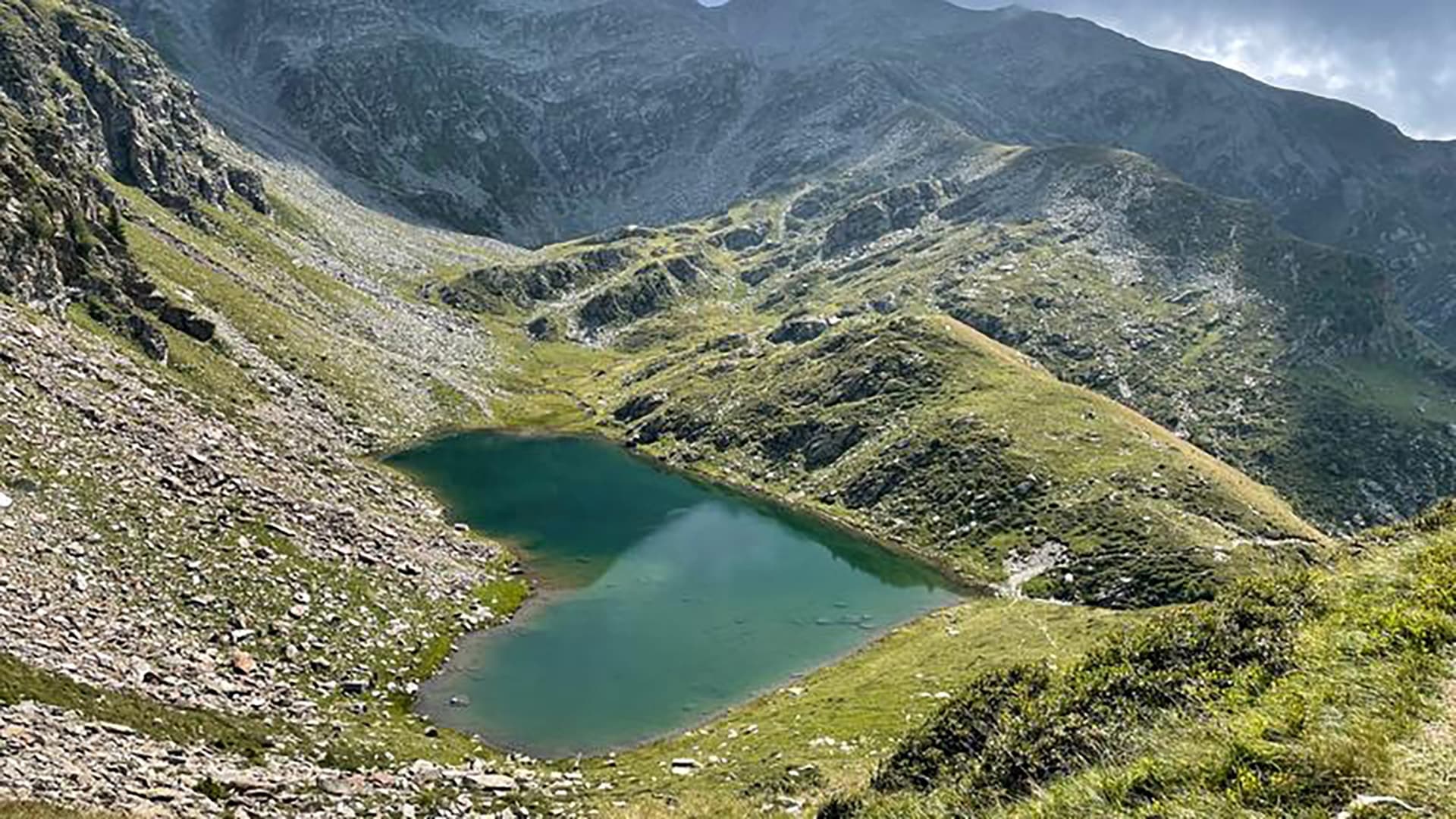 Wilde Schweiz|Wilde Schweiz