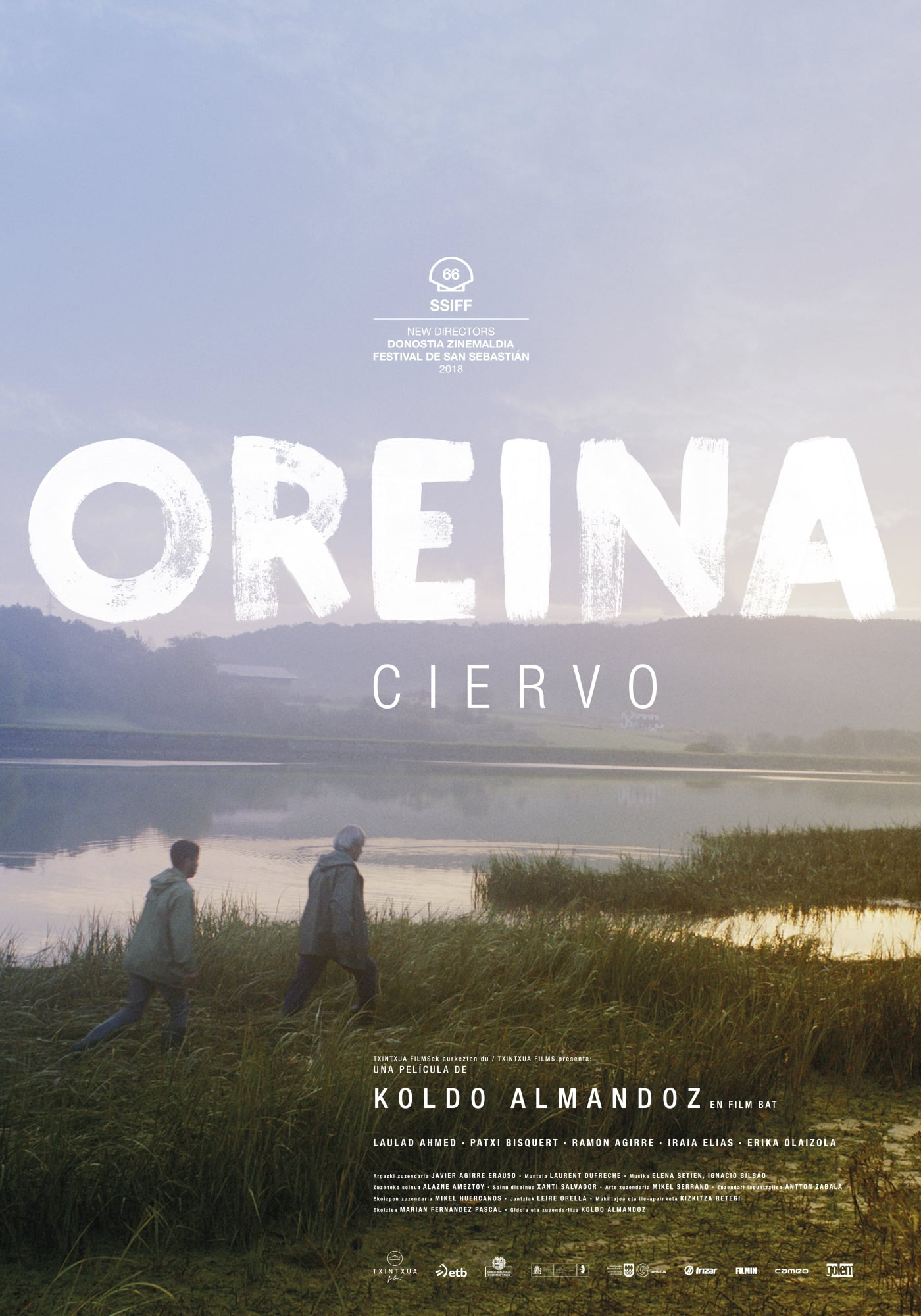 Oreina | Oreina