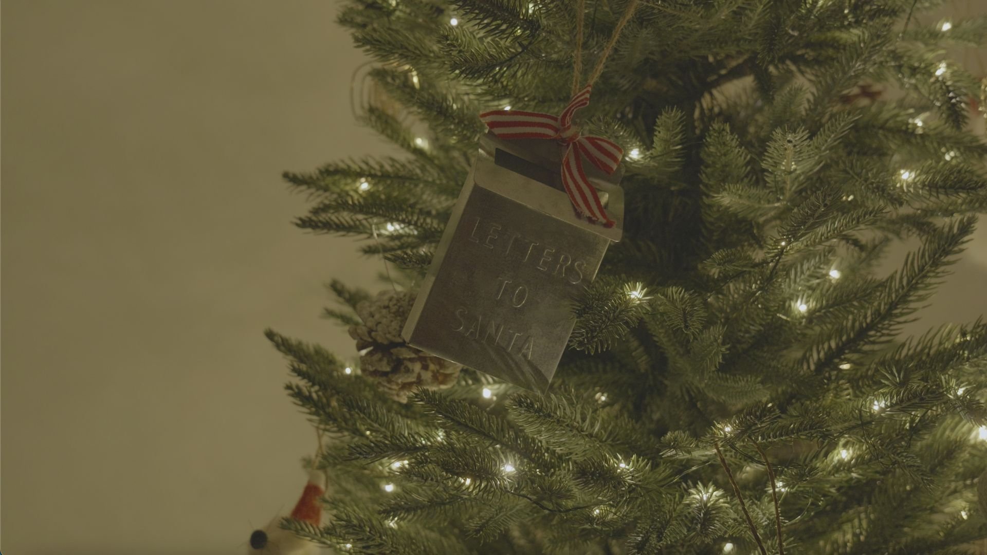 Santa's Never Been to My House|Santa's Never Been to My House