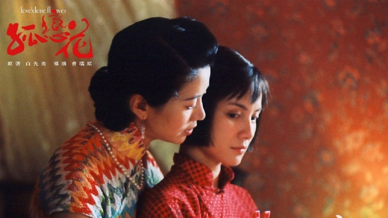 孤戀花|孤戀花