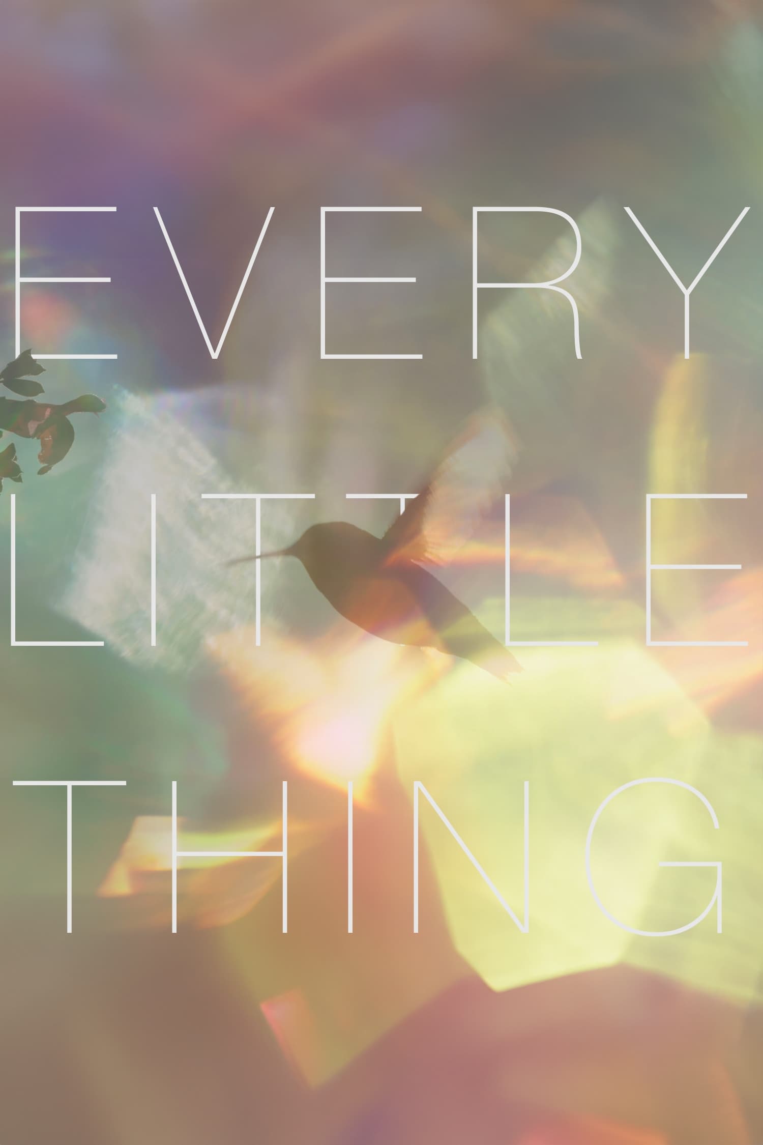 Every Little Thing | Every Little Thing