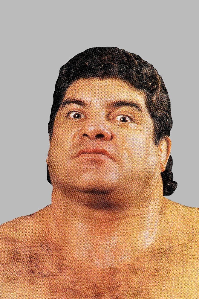 بازیگر Don Muraco  