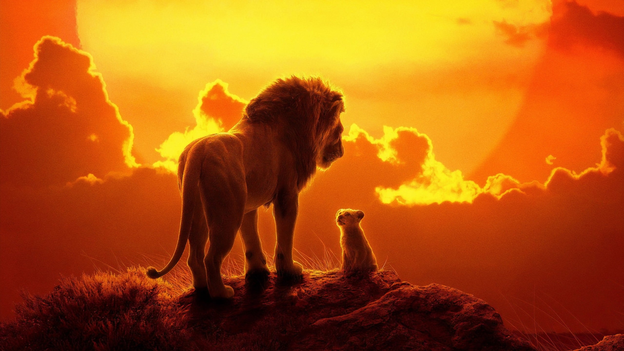 شیر شاه|The Lion King