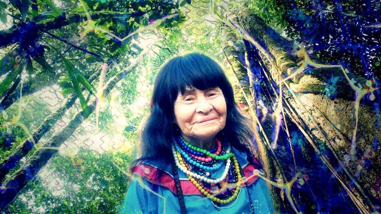 Shipibo: Learning Through the Light|Shipibo: Learning Through the Light