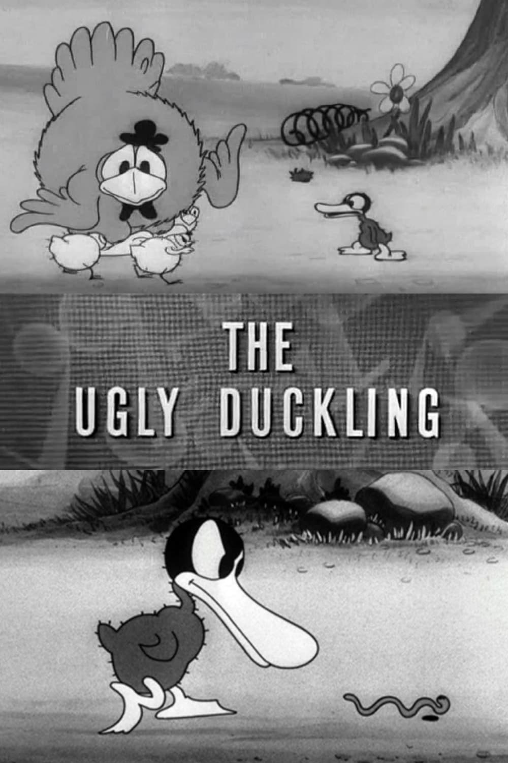 The Ugly Duckling | The Ugly Duckling