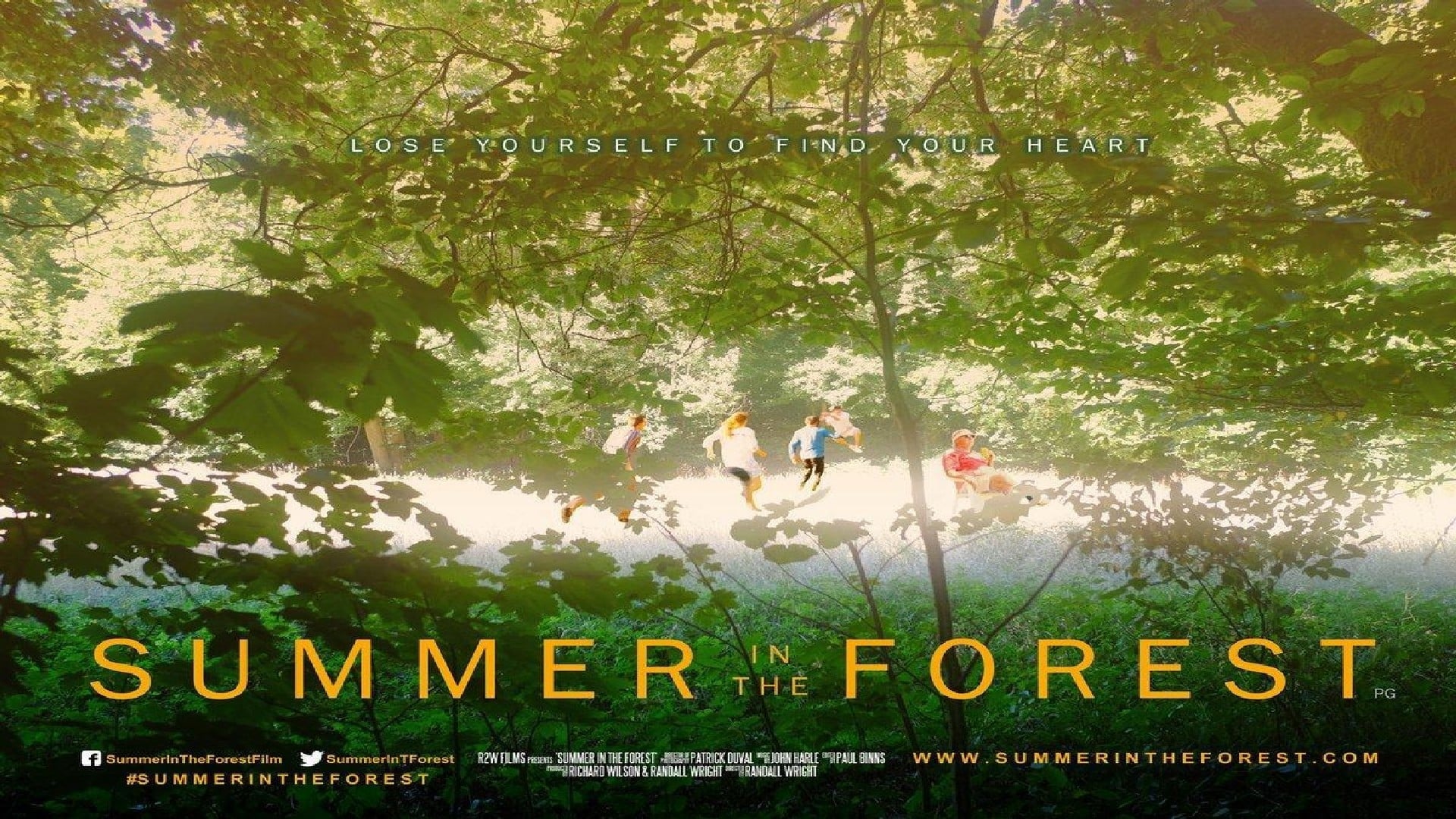 Summer in the Forest|Summer in the Forest