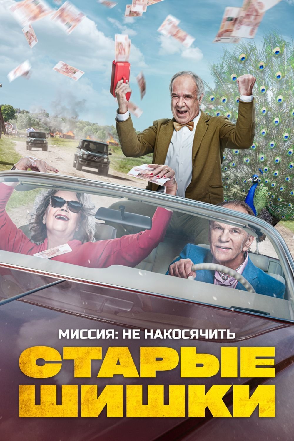 Старые шишки | Старые шишки