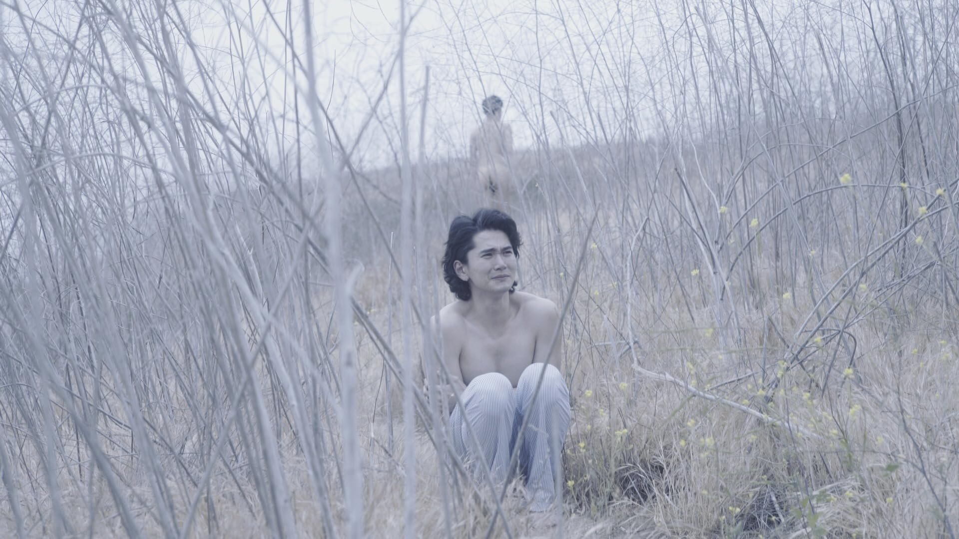 Wordless|Wordless