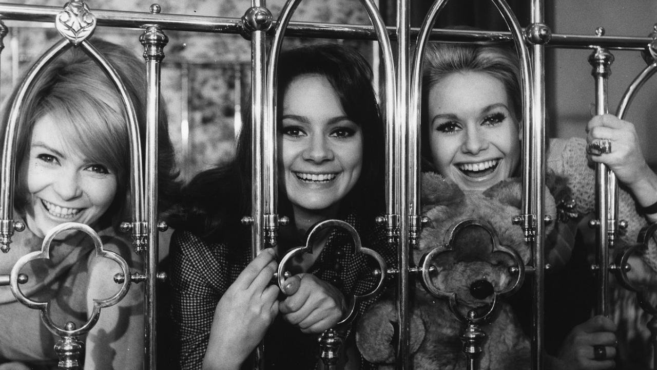 The Pleasure Girls|The Pleasure Girls