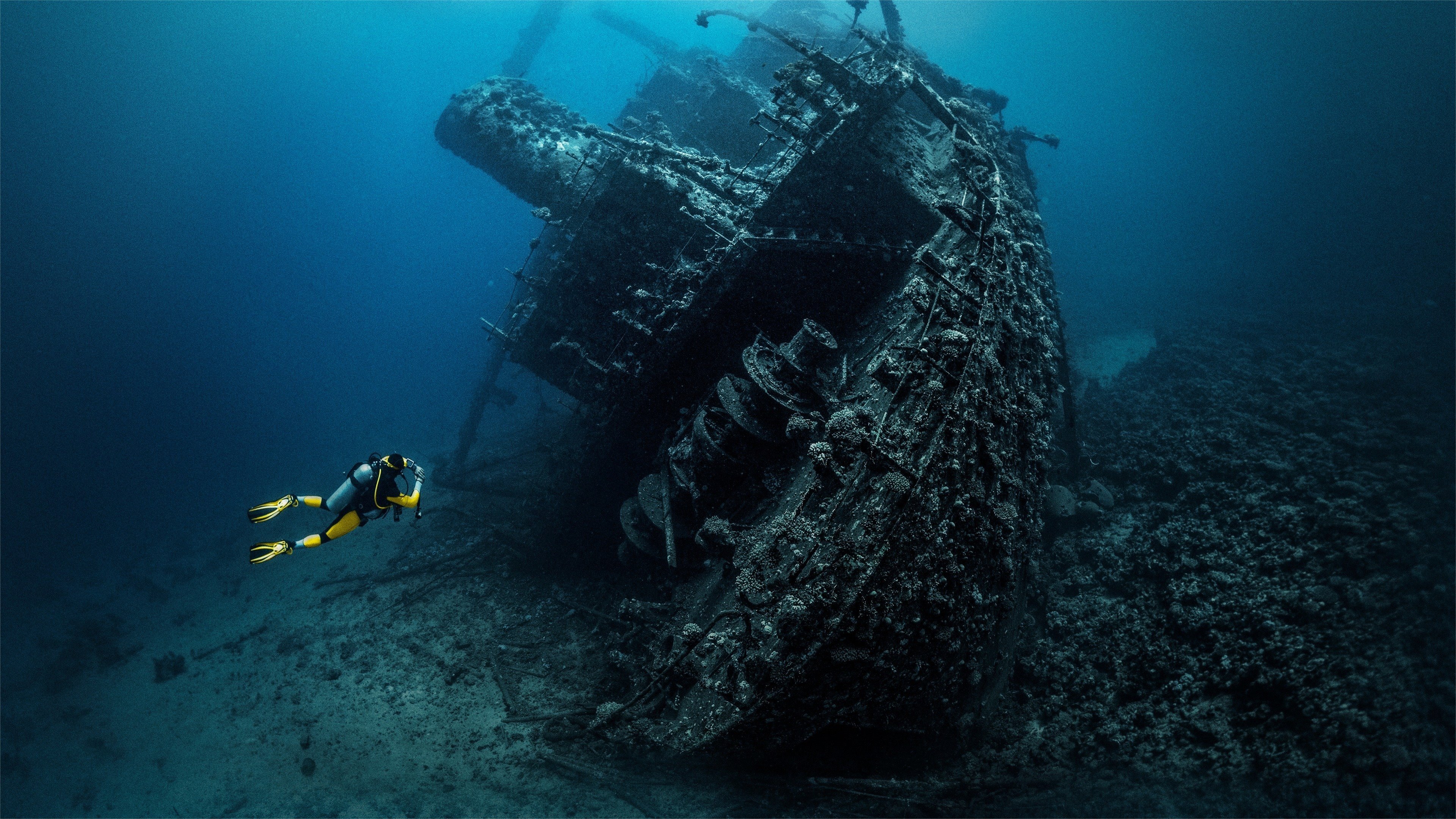 Deep Sea Detectives|Deep Sea Detectives