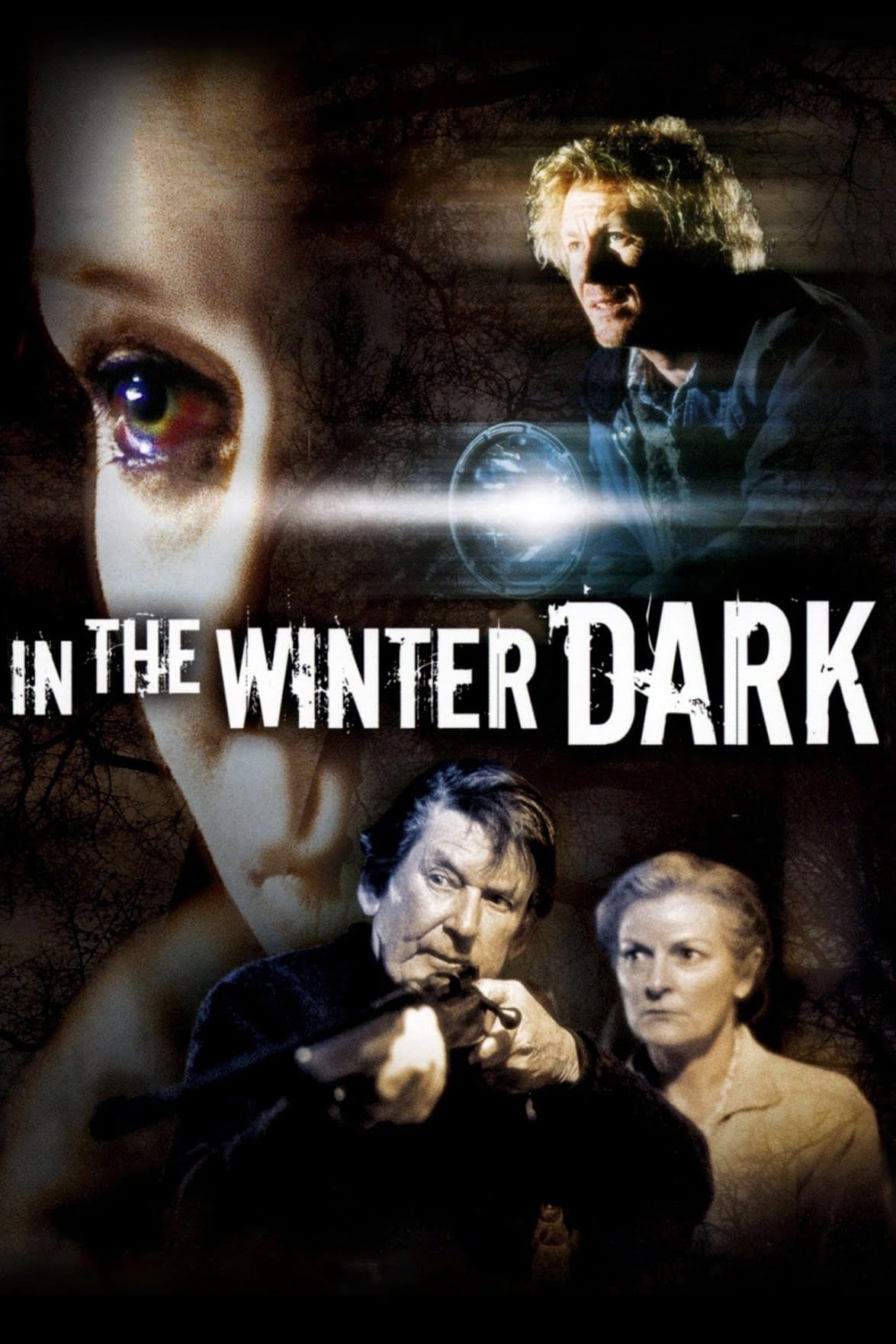 In the Winter Dark | In the Winter Dark