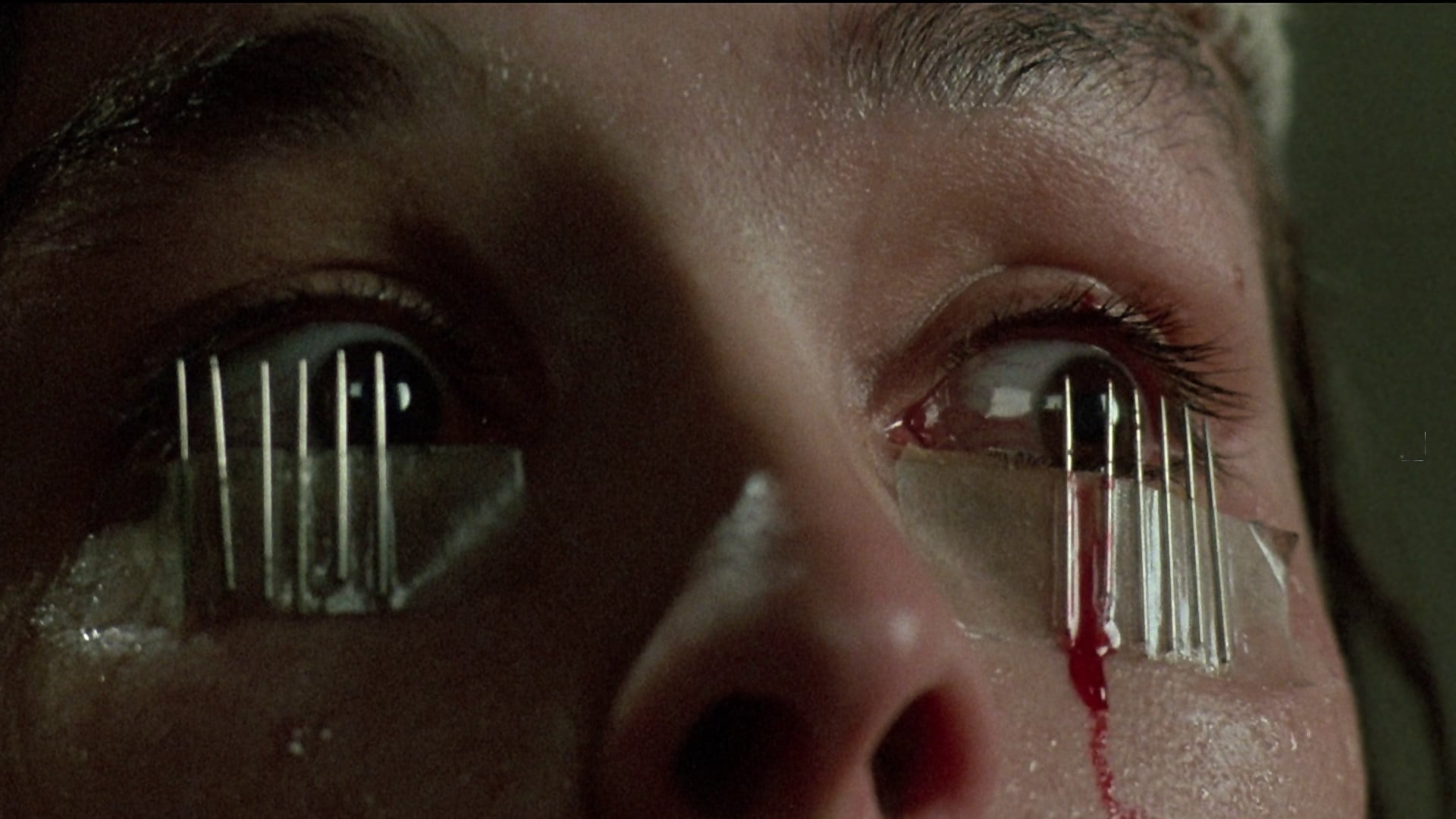 Dario Argento: An Eye for Horror|Dario Argento: An Eye for Horror