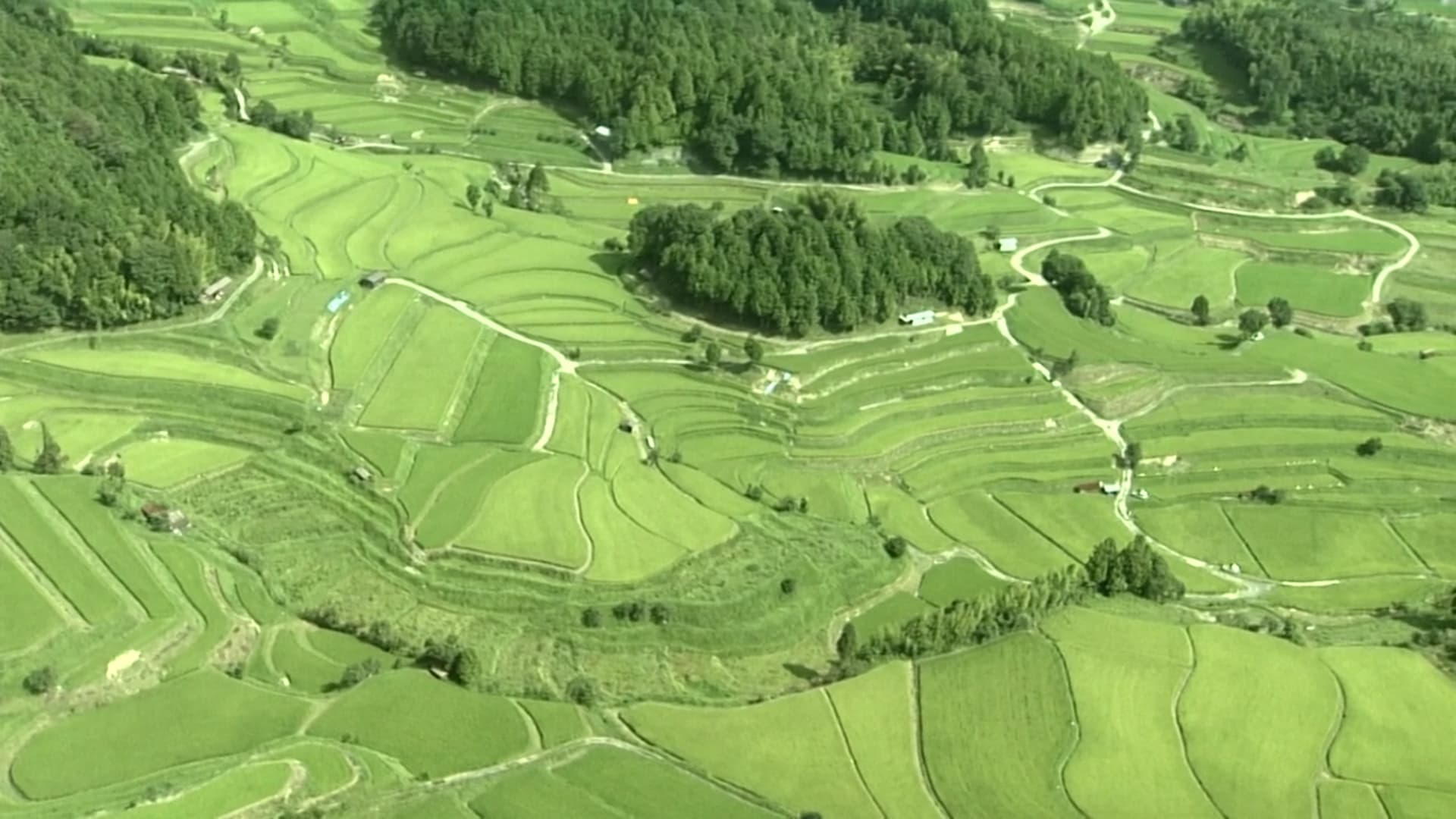 Satoyama I: Japan's Secret Watergarden|Satoyama I: Japan's Secret Watergarden