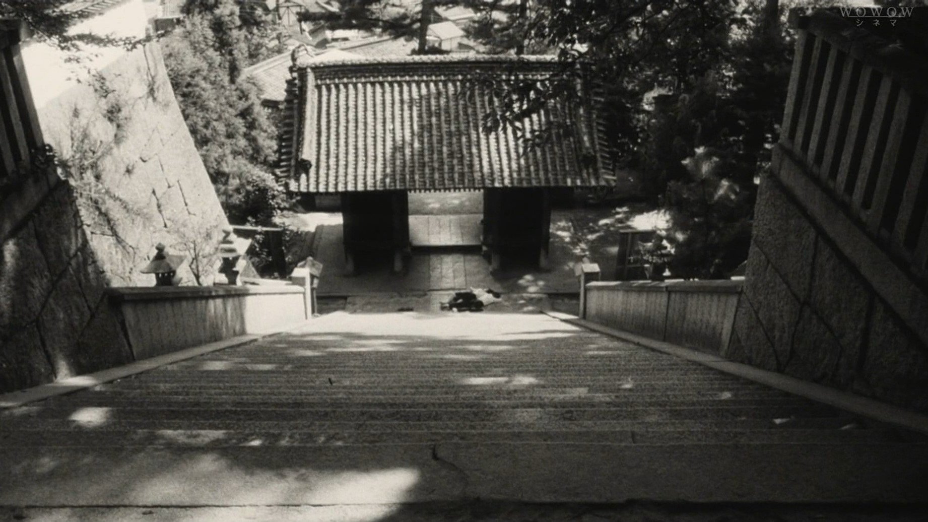 転校生|転校生