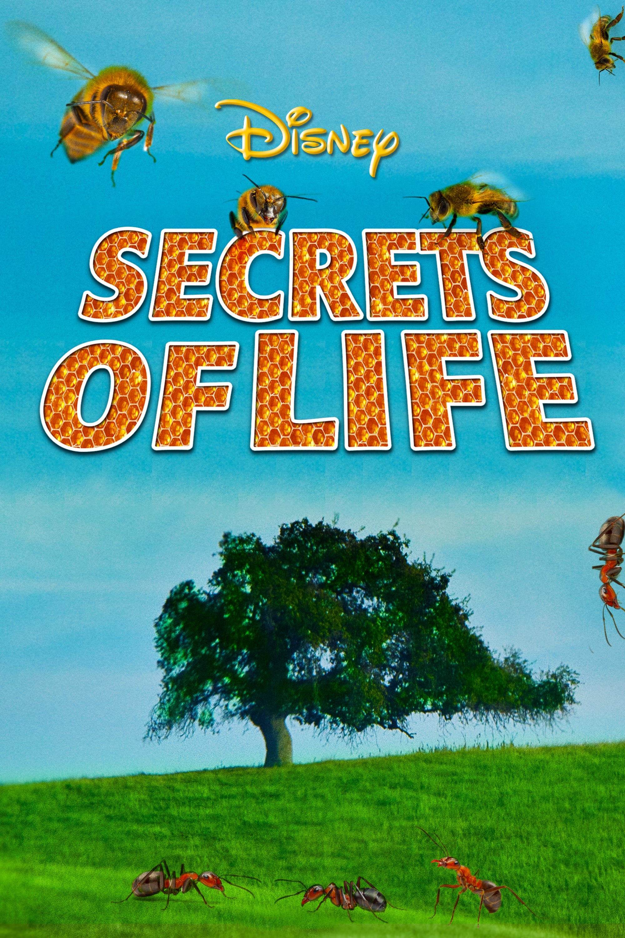 Secrets of Life | Secrets of Life