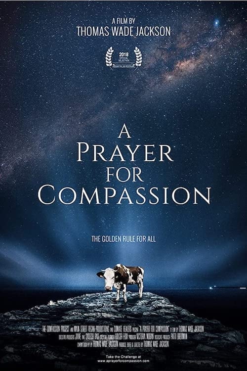 A Prayer for Compassion | A Prayer for Compassion