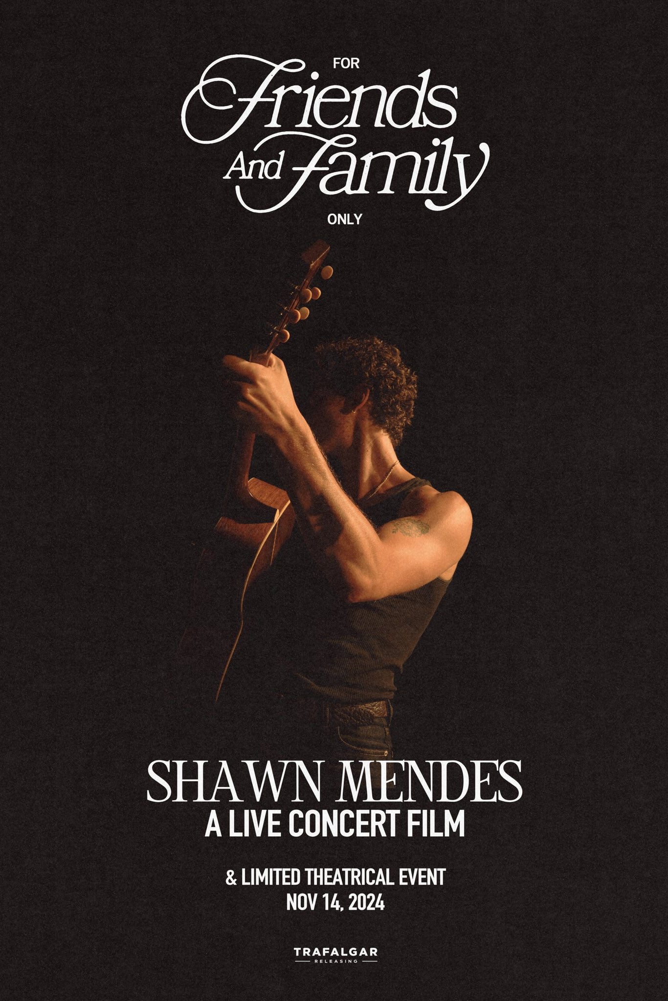 Shawn Mendes: For Friends and Family Only – A Live Concert Film | Shawn Mendes: For Friends and Family Only – A Live Concert Film