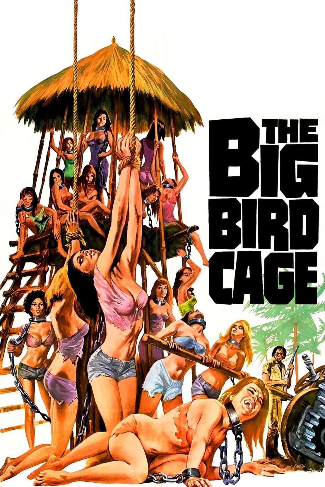 The Big Bird Cage | The Big Bird Cage