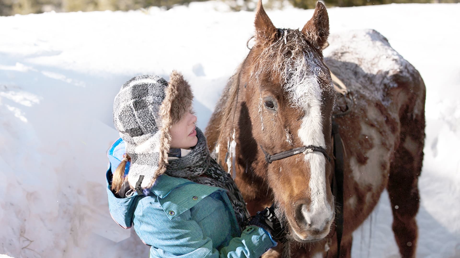 The Horses of Mcbride|The Horses of Mcbride