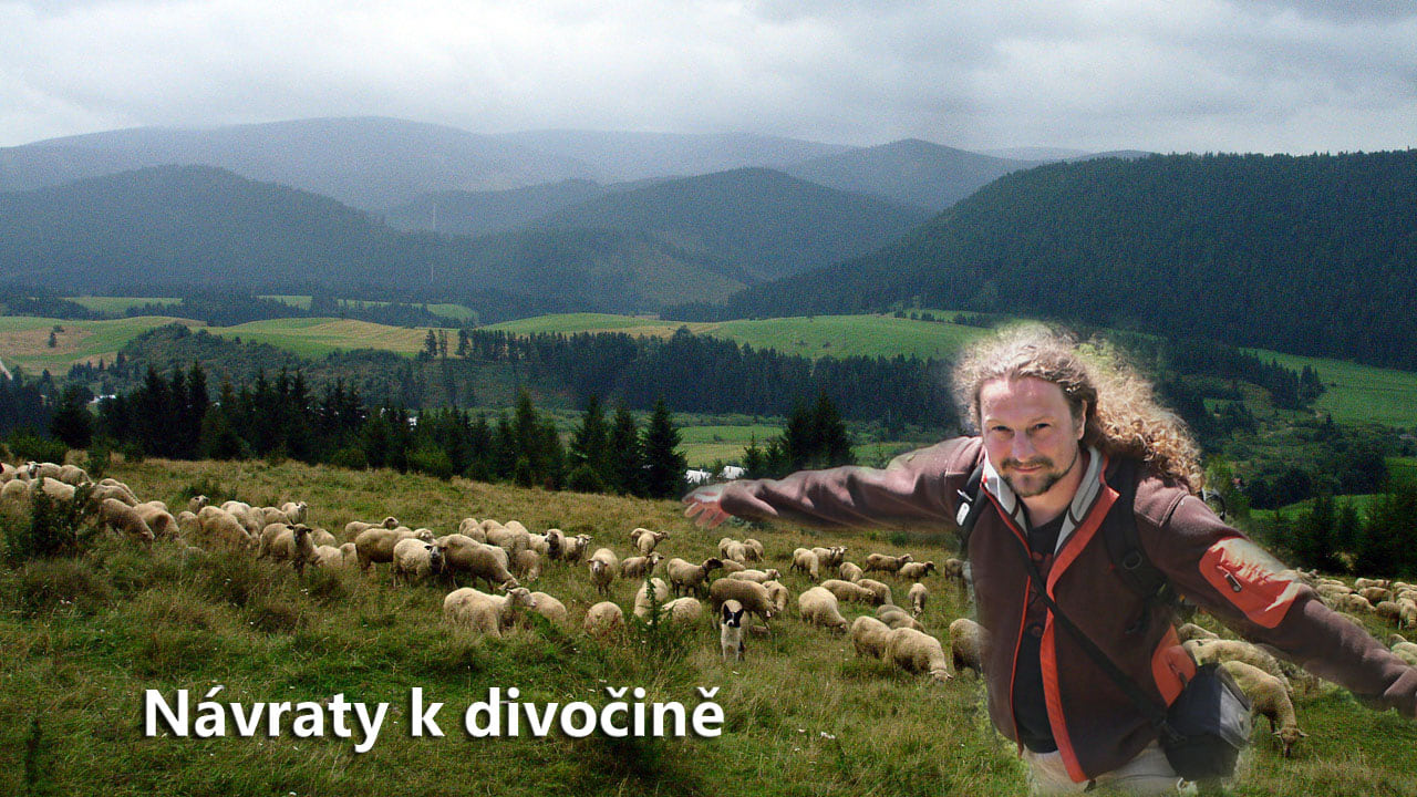 Návraty k divočině|Návraty k divočině