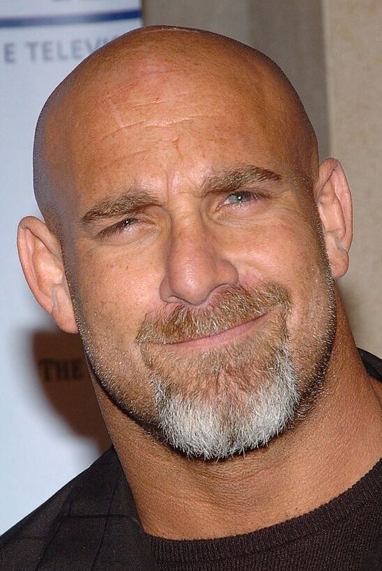 بازیگر Bill Goldberg  