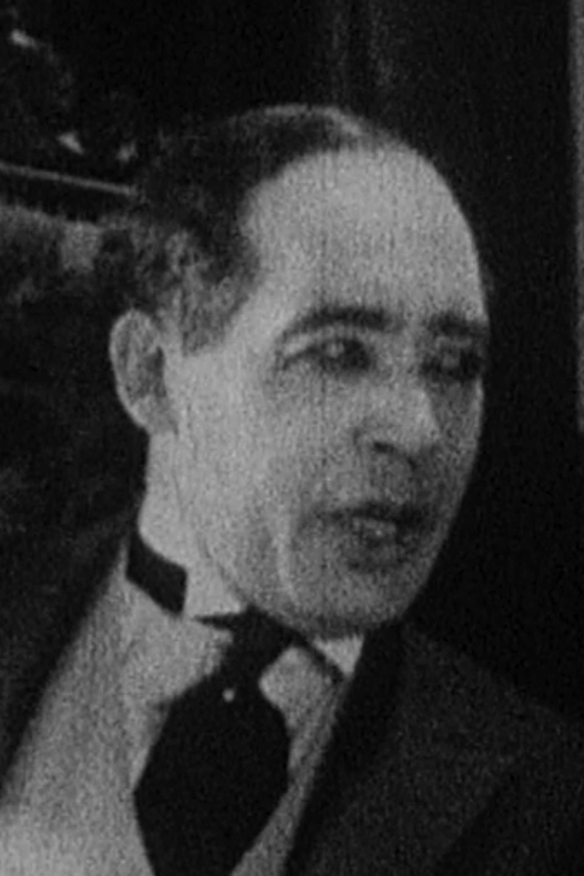 بازیگر Lou Vernon  