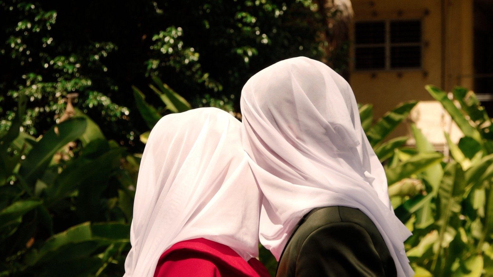 تصویر 0