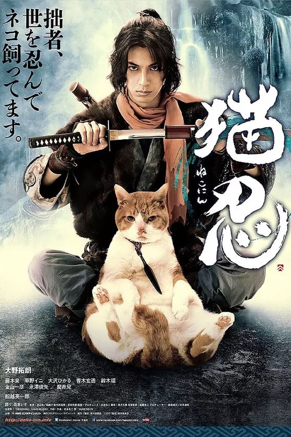 猫忍 | 猫忍