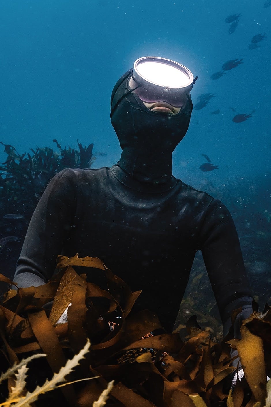 Daughter of the Sea | Daughter of the Sea