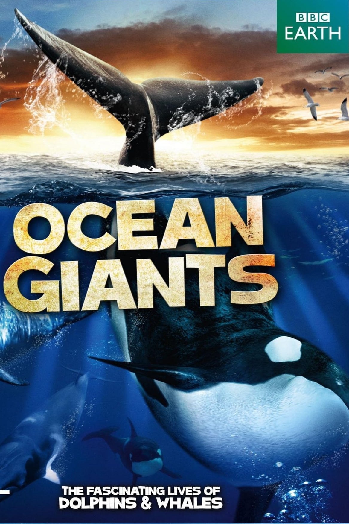 Ocean Giants | Ocean Giants