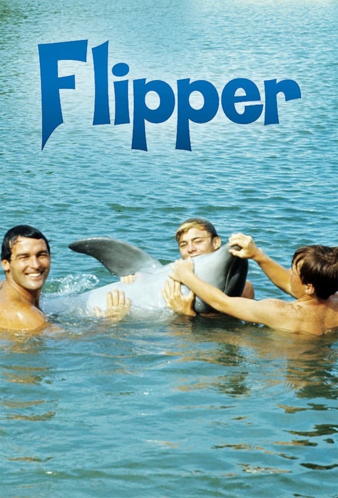 Flipper | Flipper