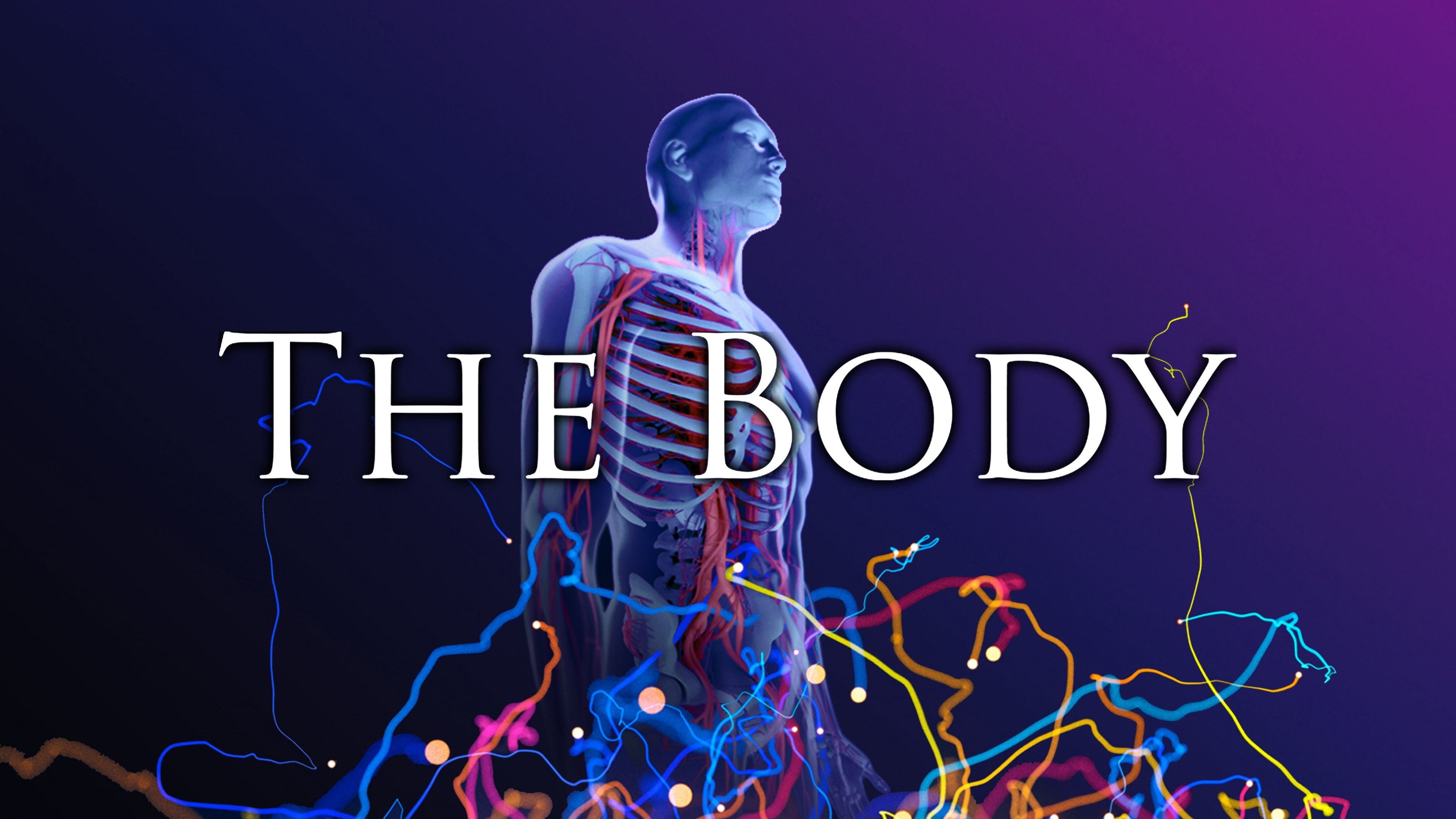 The Body|The Body