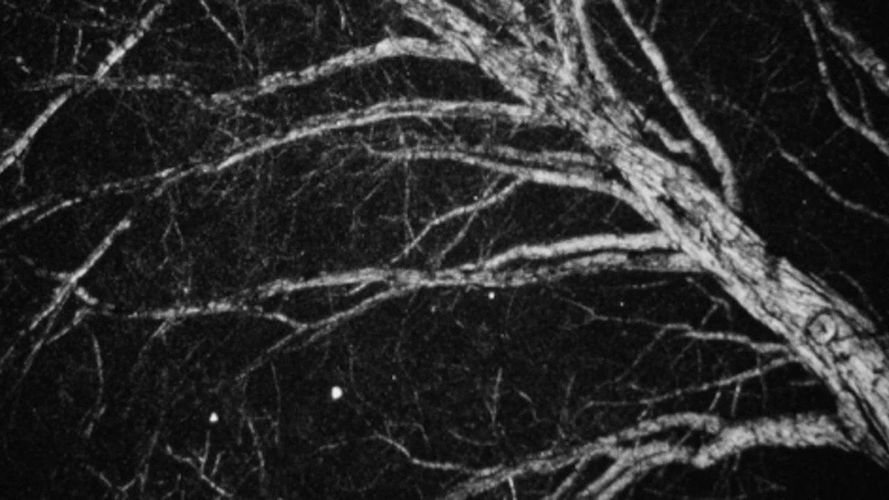 Nocturne|Nocturne