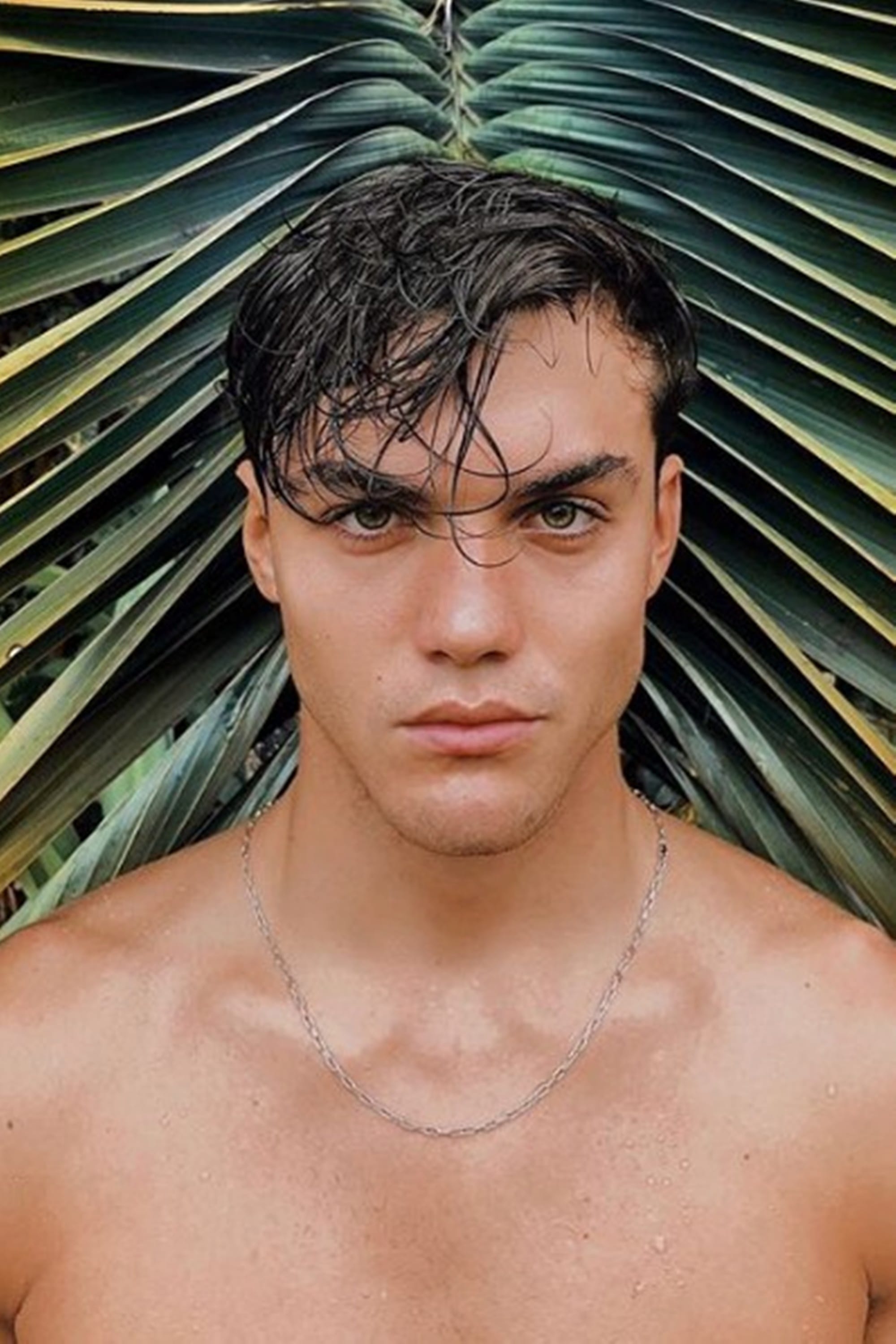 بازیگر Grayson Dolan  