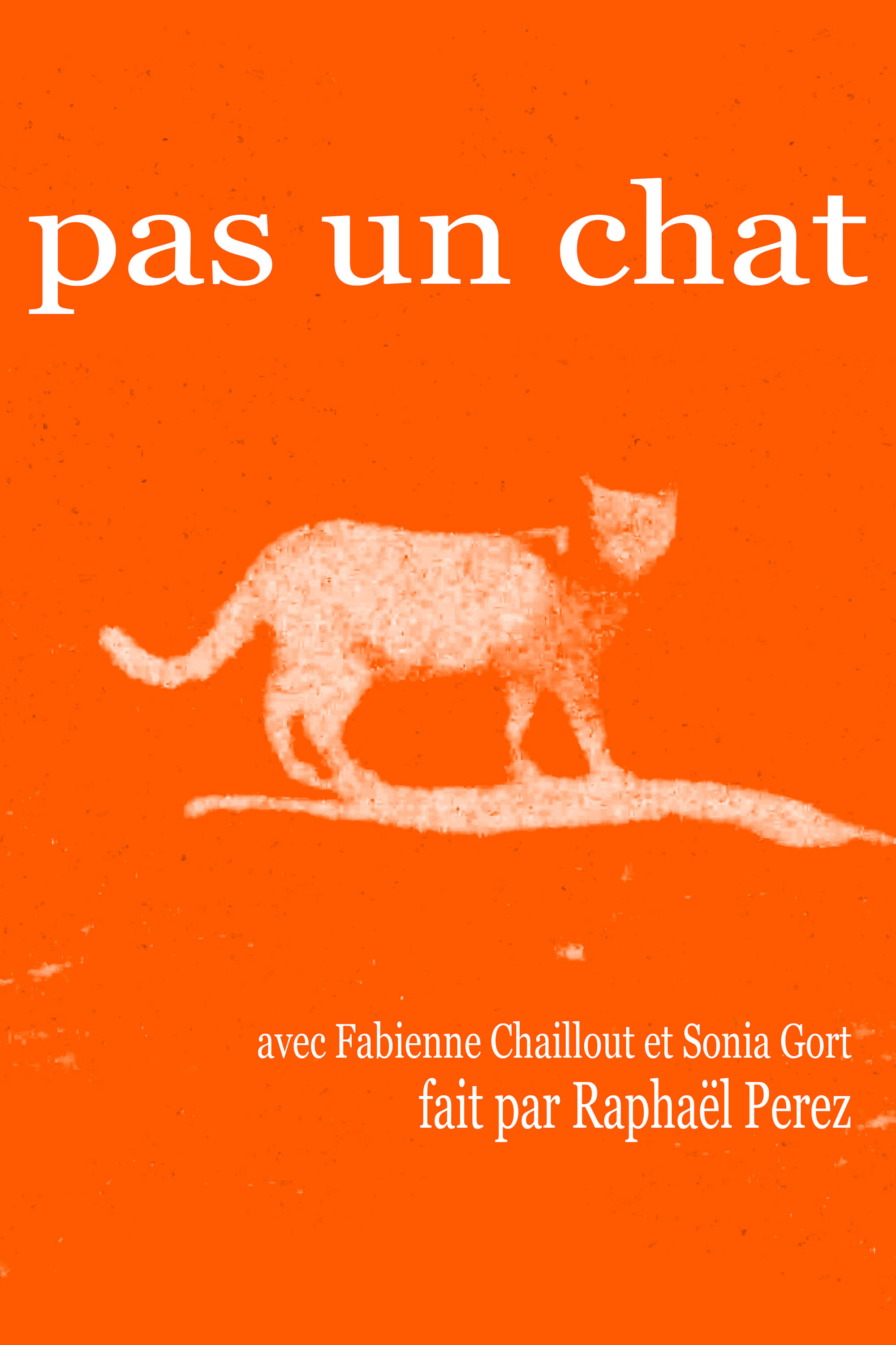 Pas un chat | Pas un chat