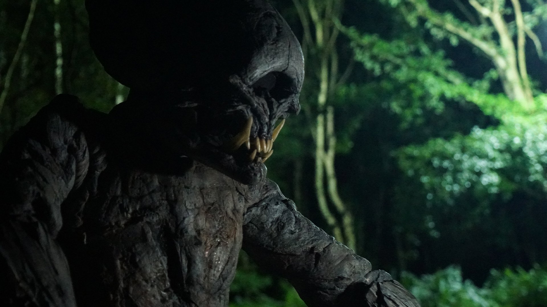 V/H/S: Video Horror Shorts|V/H/S: Video Horror Shorts