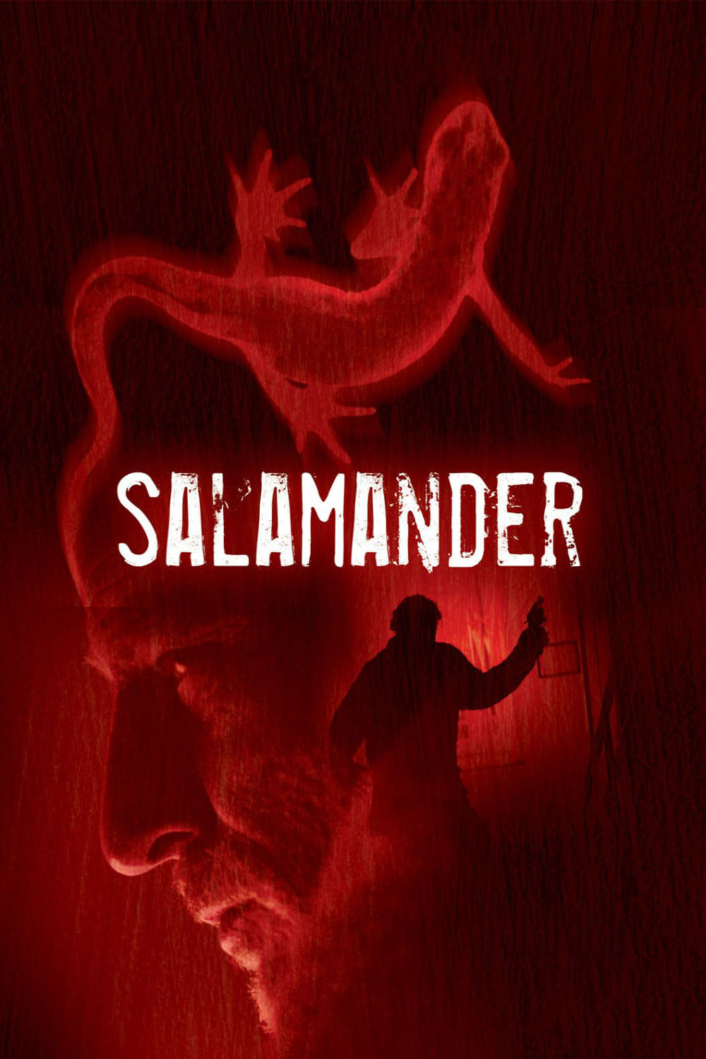 Salamander | Salamander