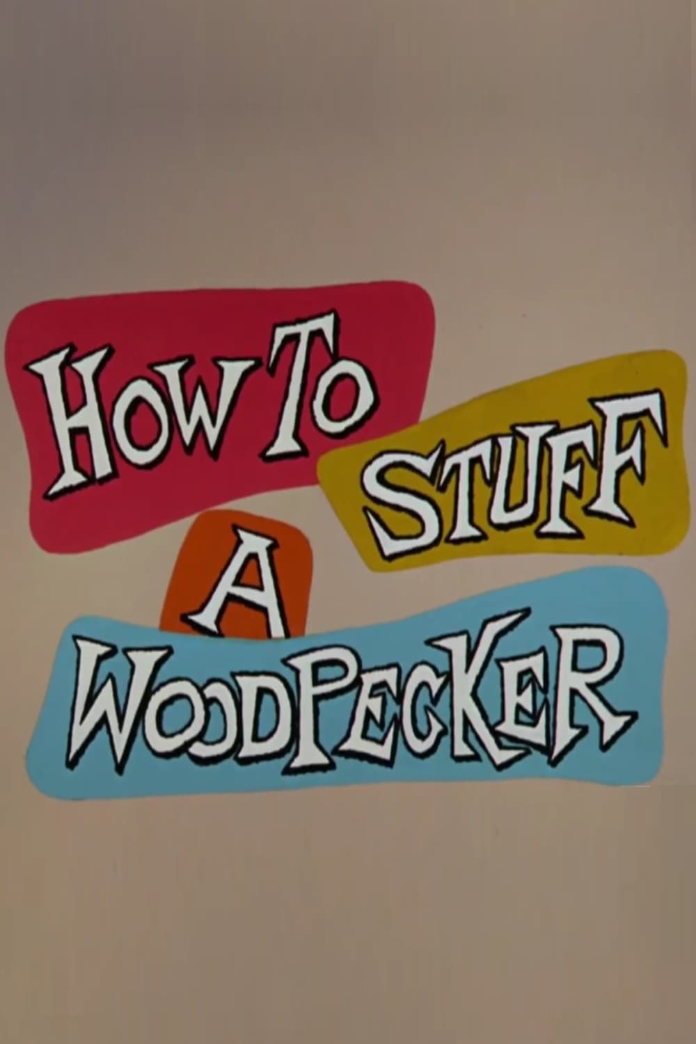 How to Stuff a Woodpecker | How to Stuff a Woodpecker